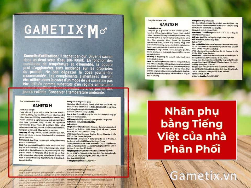 Gametix-M-nhan-phu